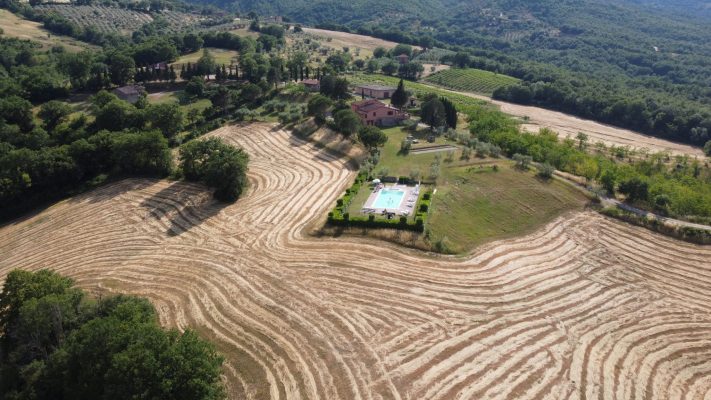 BULLETTA-HEADER