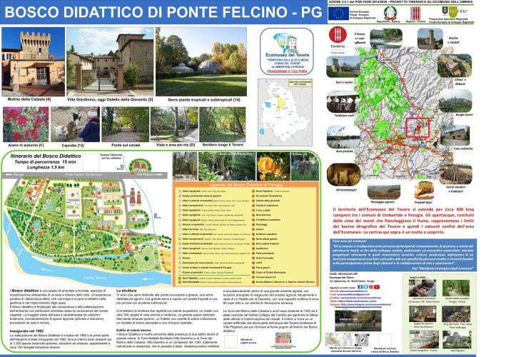 New_boscodidattico_2_100dpi_ridotto-scaled New_boscodidattico_2_100dpi_ridotto-scaled